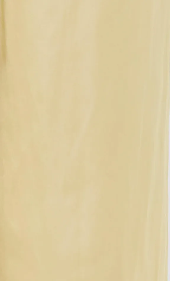 Bec Bridge Pants DELPHI PANT Citrus 8211 Women