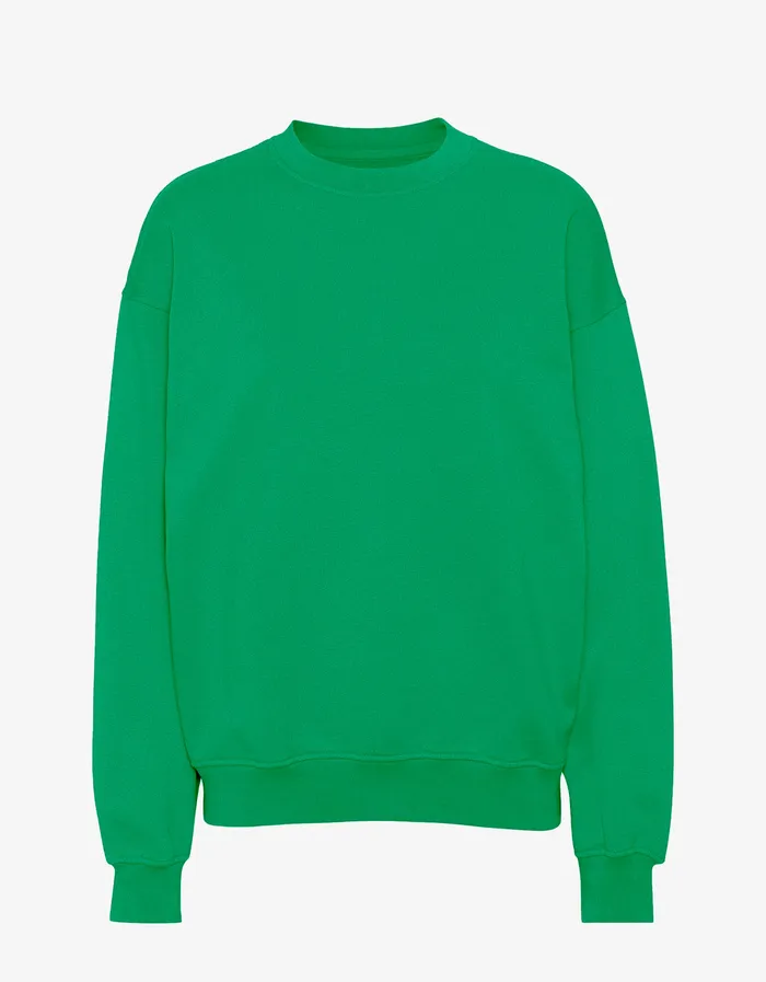 Colorfulstandard Organic Oversized Crew 8211 Kelly Green Men Crewneck Sweatshirts