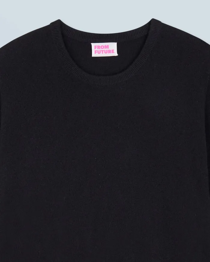 From Future Cashmere Sweaters Men Basic Crewneck Sweater Black
