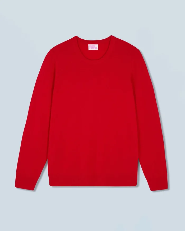 From Future Cashmere Sweaters Men Basic Crewneck Sweater Dark Red