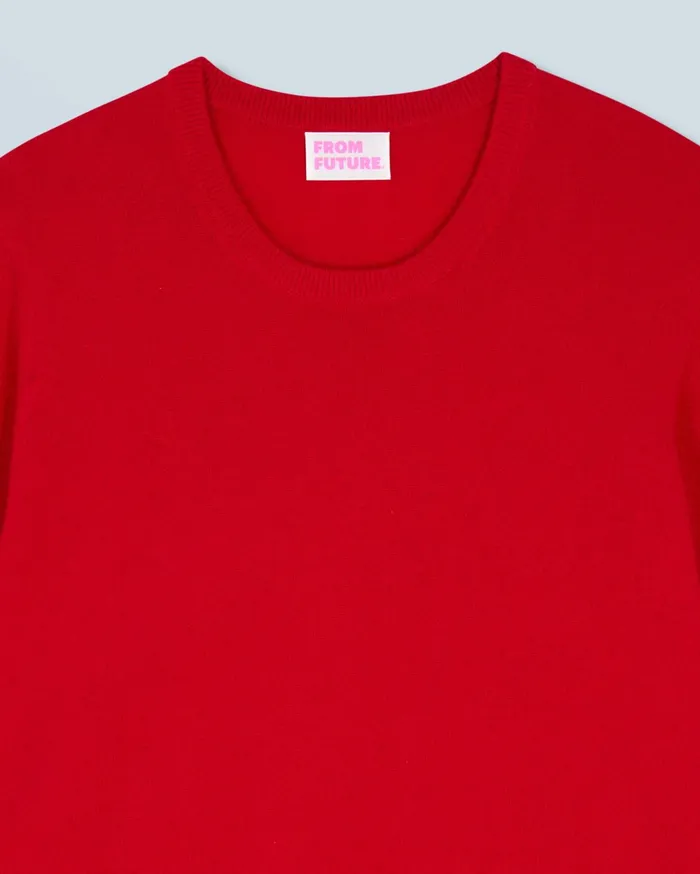 From Future Cashmere Sweaters Men Basic Crewneck Sweater Dark Red