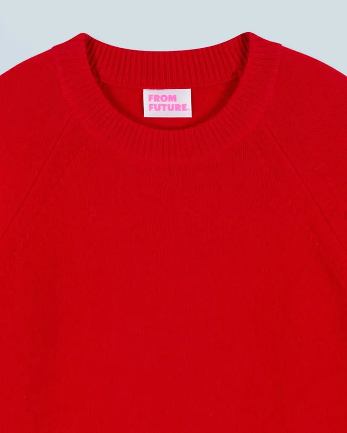 From Future Cashmere Sweaters Women Crewneck Sweater Hot Red
