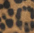 Kenneth Cole Pumps and Heels Women Romi Leopard Suede Ankle Slingback Heel Brown