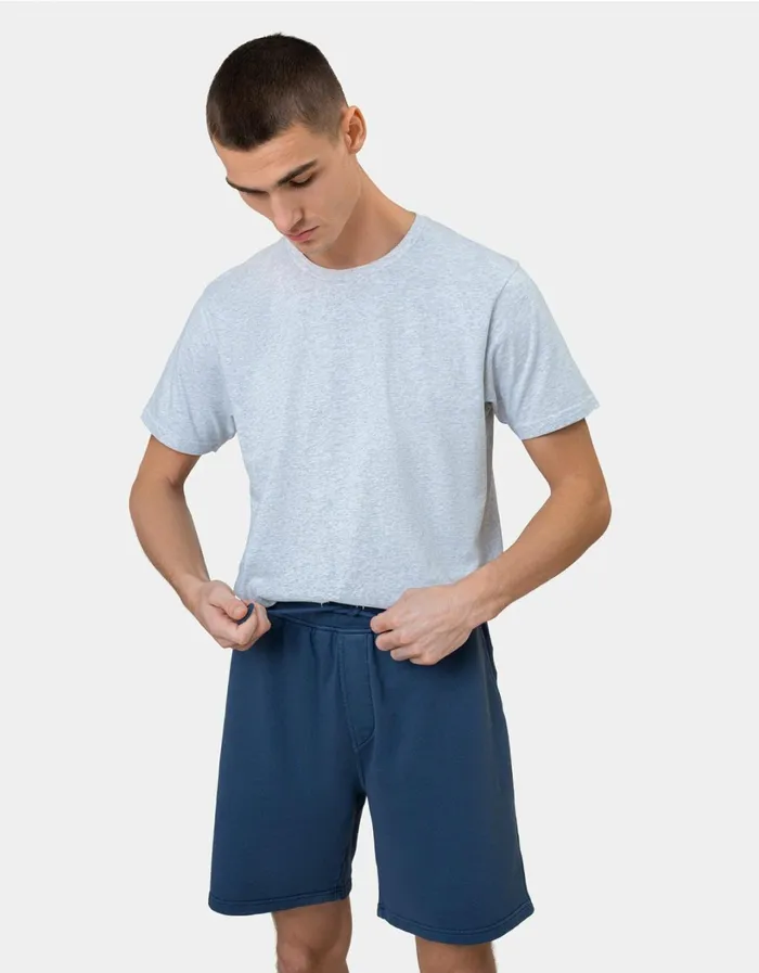 Men Classic Organic Sweatshorts Faded Grey Colorful Standard Shorts
