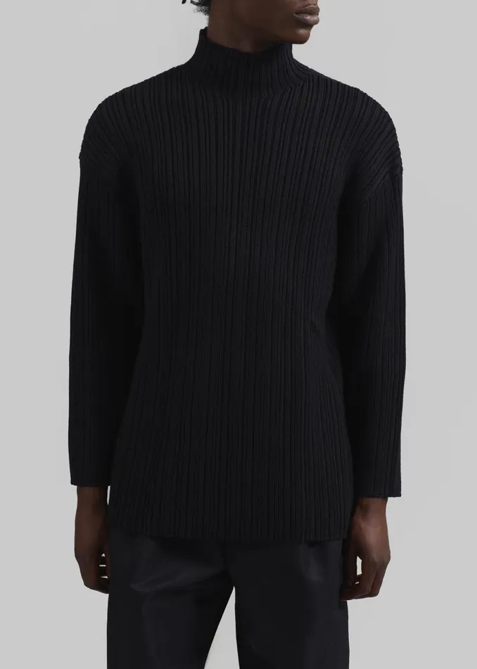 Men Louis Gabriel Nouchi Mockneck Rib Sweater 8211 Black The Frankie Shop Knitwear