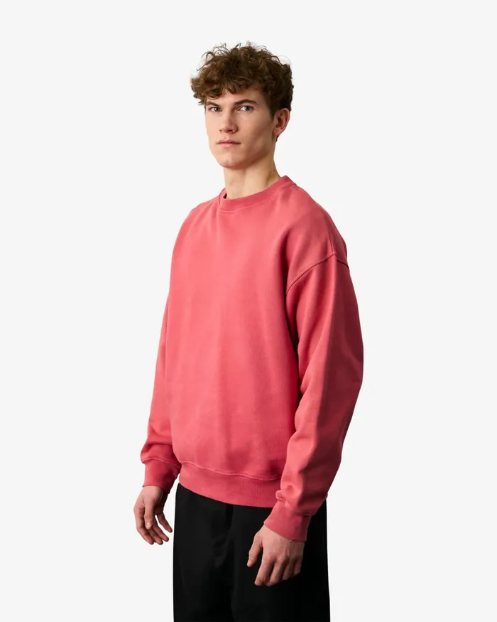 Men Organic Oversized Crew Neptune Blue Colorful Standard Crewneck Sweatshirts
