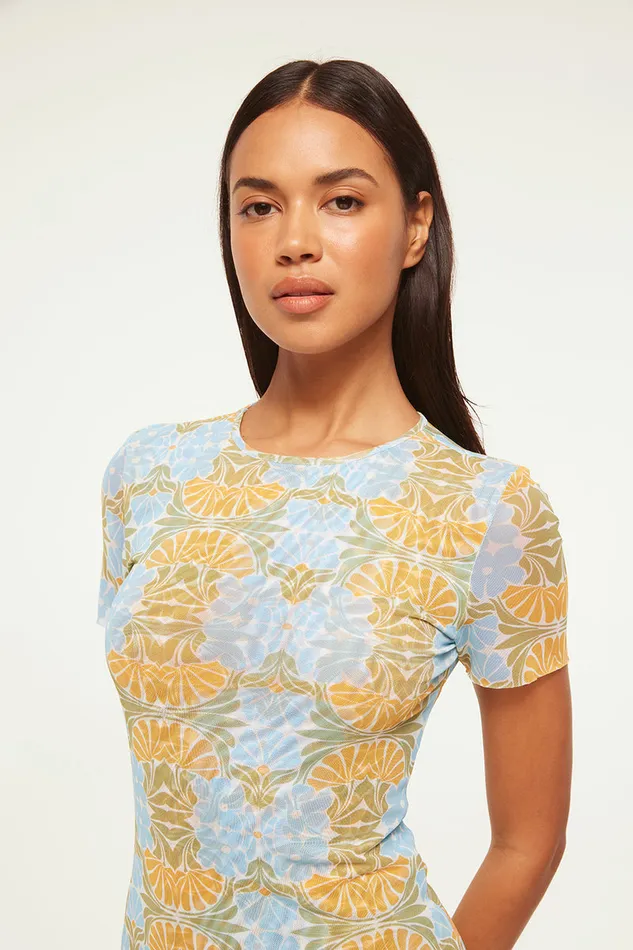 Misa Los Angeles Vina Dress Citrus Slice Women Jersey and Mesh