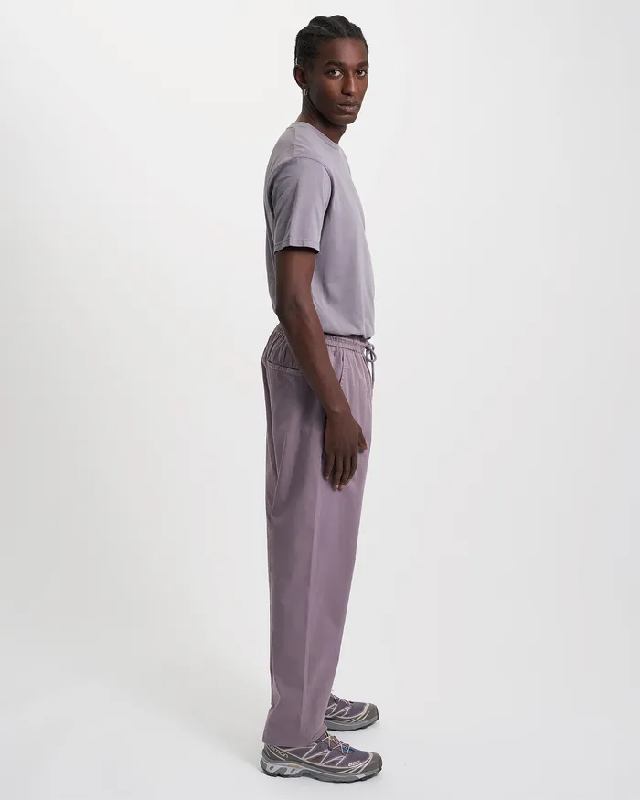 Pants Colorfulstandard Men Organic Twill Pants 8211 Purple Haze