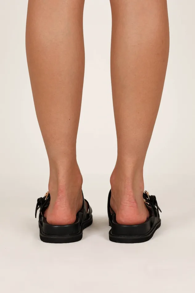 petalandpup Flats Women Raiden Sandal 8211 Black Croc Black Croc
