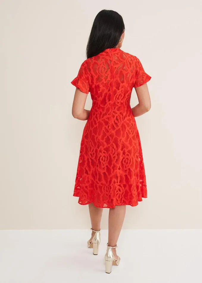 Phase Eight Petite Lulu Lace Midi Dress Fire Women Dresses