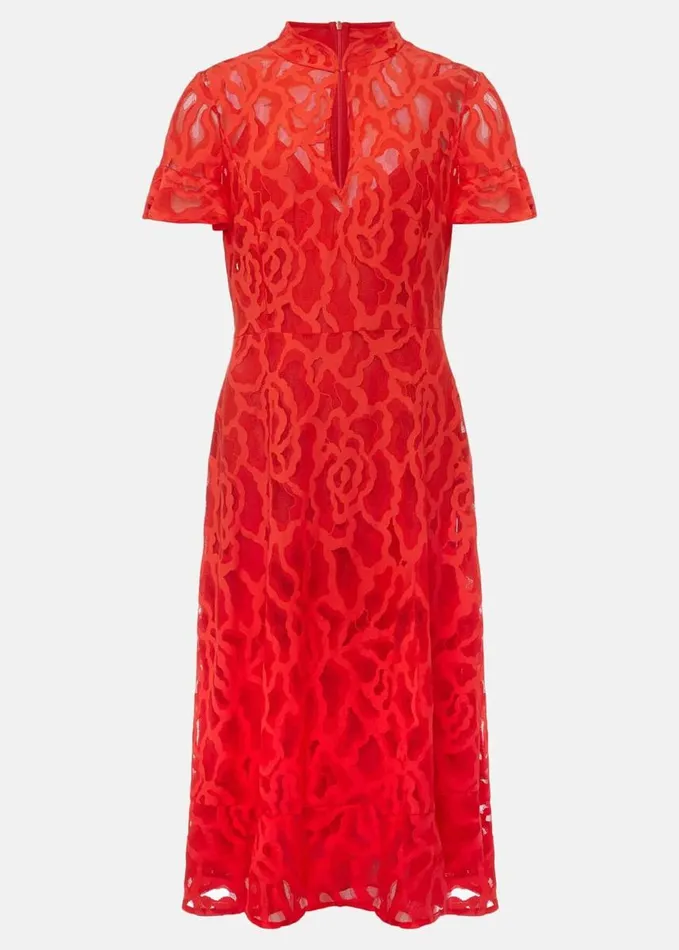 Phase Eight Petite Lulu Lace Midi Dress Fire Women Dresses