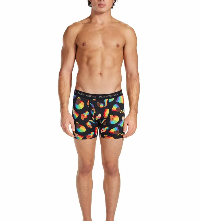 Pride Superfit Boxer Briefs Black Underwear 1 Pack 1063300001 Men Pair Of Thieves Boxer Briefs
