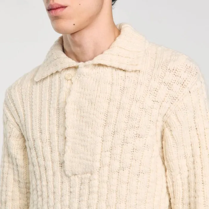 Sweaters and Cardigans Men SANDRO Chunky Knit Polo Neck Jumper Beige