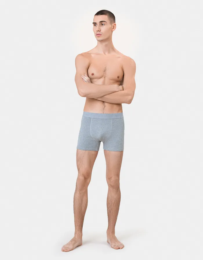 Underwear Colorfulstandard Men Classic Organic Boxer Briefs 8211 Heather Grey