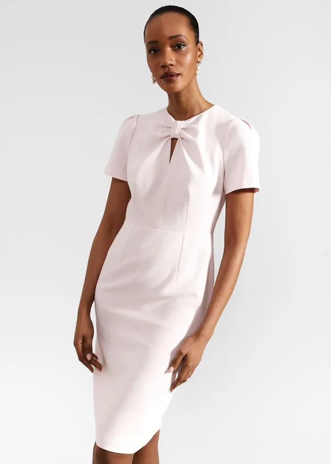 Women Dresses and Jumpsuits Hobbs Carolina Dress Pale Pink