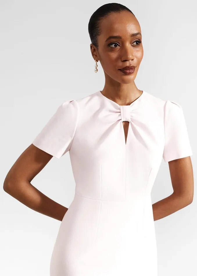 Women Dresses and Jumpsuits Hobbs Carolina Dress Pale Pink