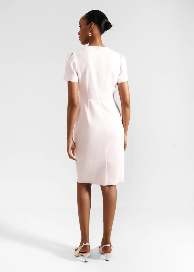 Women Dresses and Jumpsuits Hobbs Carolina Dress Pale Pink