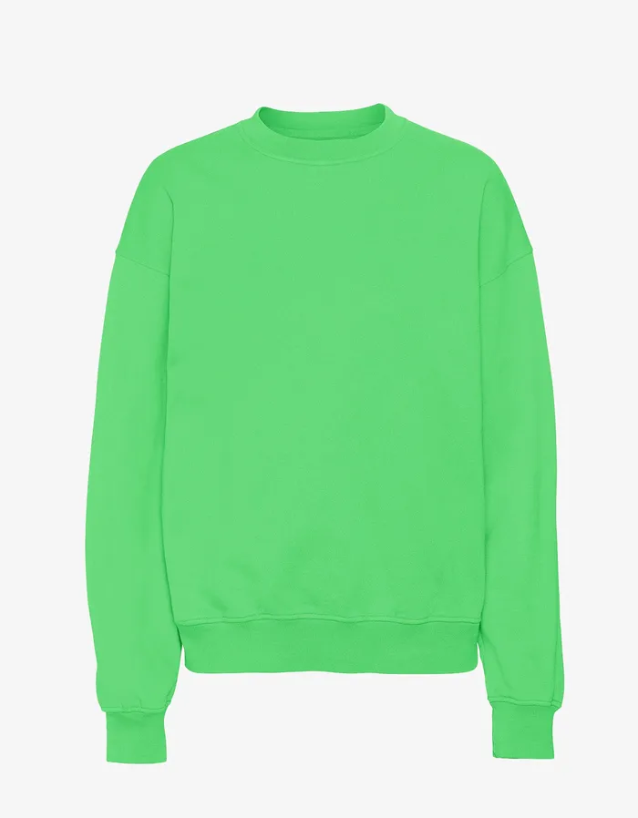 Women Organic Oversized Crew 8211 Spring Green Crewneck Sweatshirts Colorfulstandard