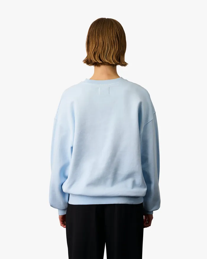 Women Organic Oversized Crew 8211 Spring Green Crewneck Sweatshirts Colorfulstandard